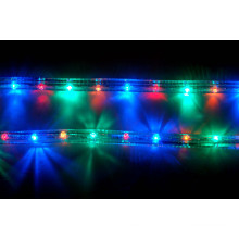 LED Rope Light (SRRLS-2W)